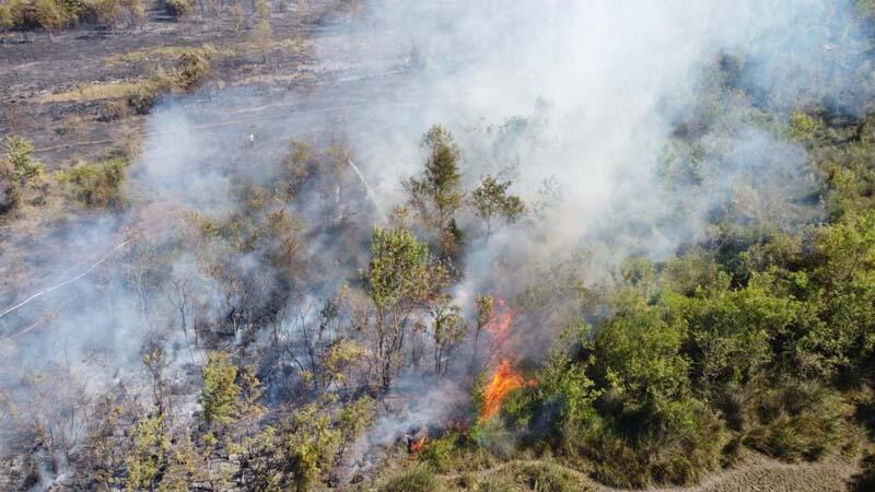UNESCO listesindeki Kızılırmak Deltası Kuş Cennetinde yangın çıktı