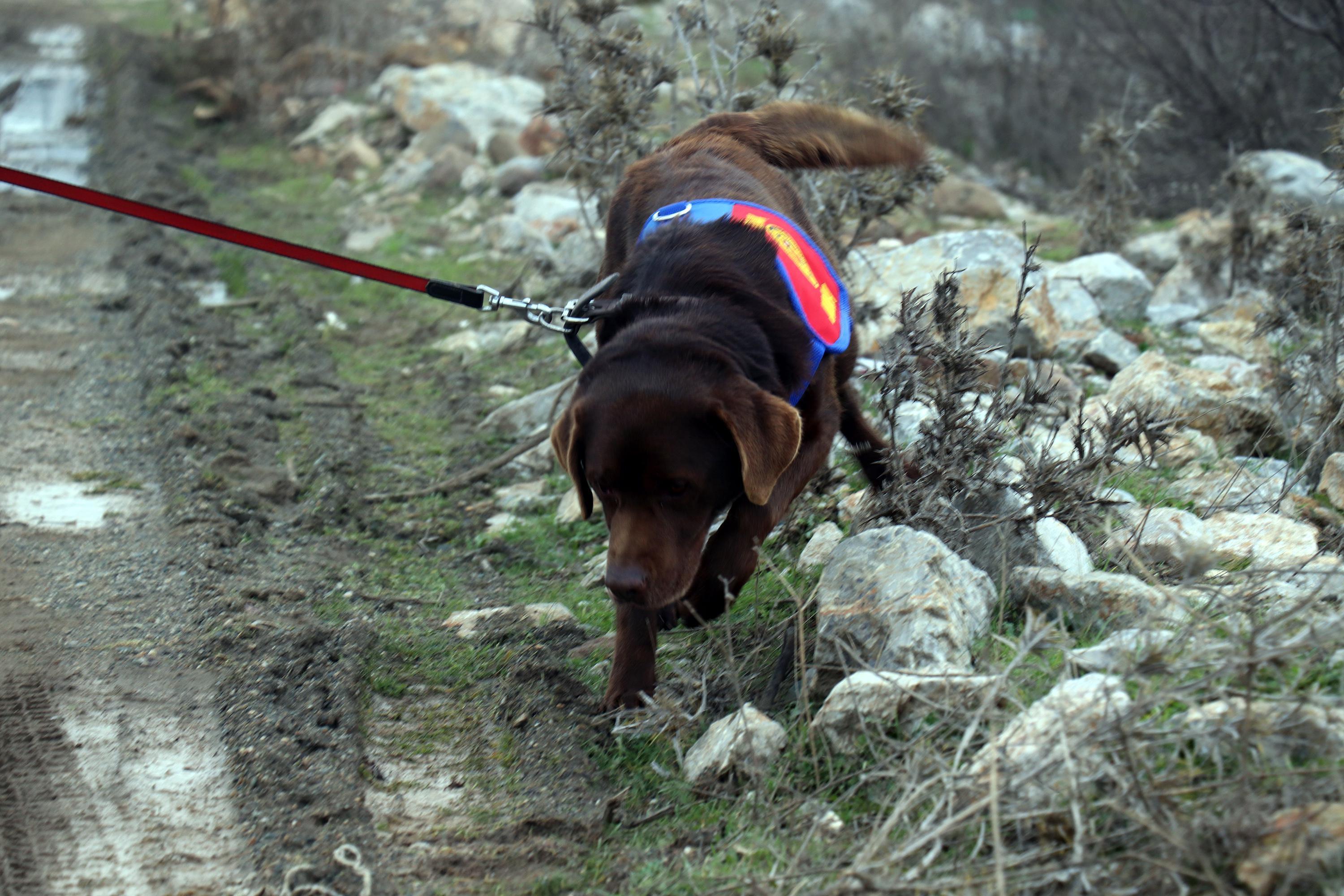 Mürsel Meracıoğlunun cansız bedenini Türkiyede ilk kez suda arama yapan kadavra köpekleri buldu