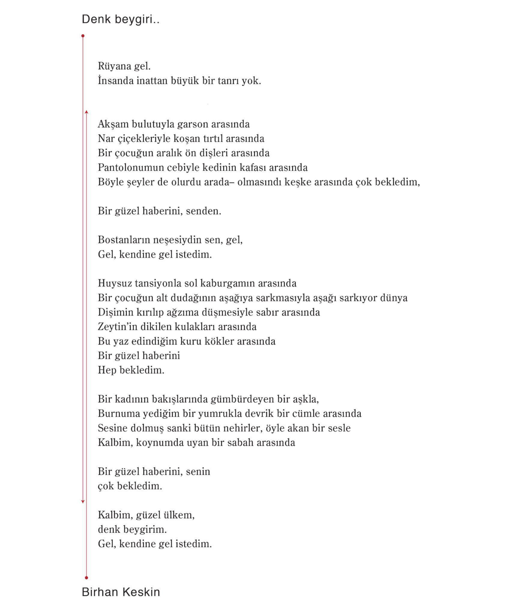 Birhan Keskinden yeni yıl hediyesi: 4 yıl aradan sonra yeni bir şiir