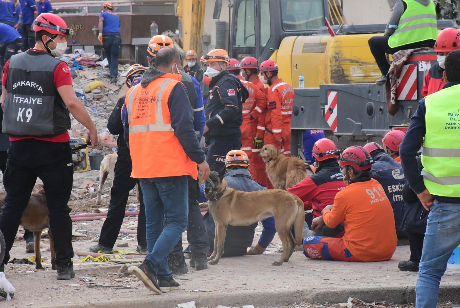 Depremde yıkılan Rıza Bey apartmanında aramaya köpekler de katıldı