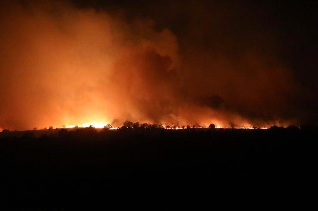 Bulgaristandaki orman yangınında alevler Türkiyeye doğru ilerliyor