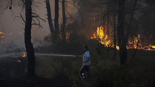 Gelibolu Yarımadasındaki orman yangınına havadan müdahale yeniden başladı