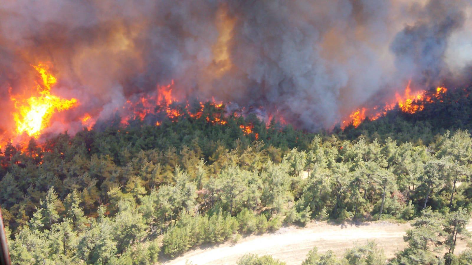Bakan Pakdemirli: Geliboludaki yangında şu ana kadar 450 hektar alan yandı