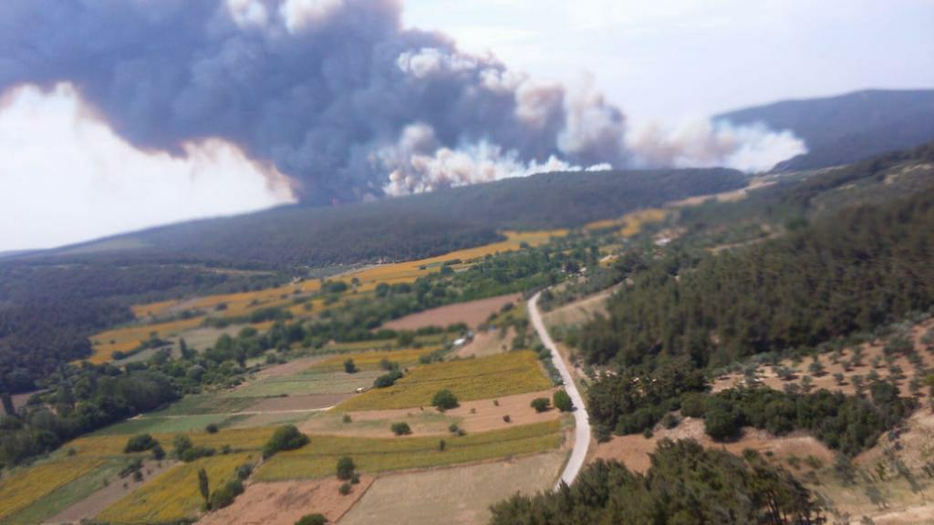 Gelibolu Yarımadasında orman yangını Poyraz yangını söndürmeyi zorlaştırıyor