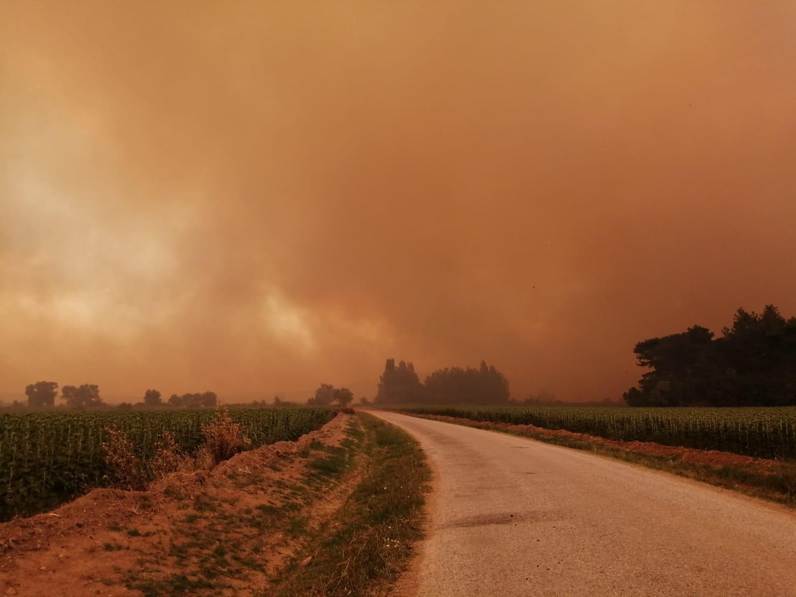 Gelibolu Yarımadasında orman yangını Poyraz yangını söndürmeyi zorlaştırıyor