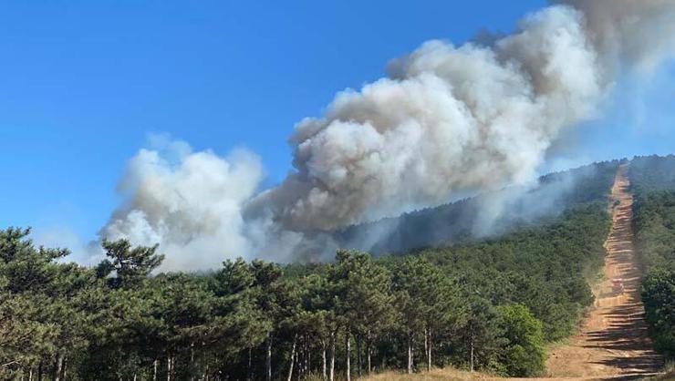 İstanbul Kayışdağında orman yangını çıktı İtfaiye müdahale ediyor