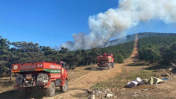 İstanbul Kayışdağında orman yangını çıktı İtfaiye müdahale ediyor
