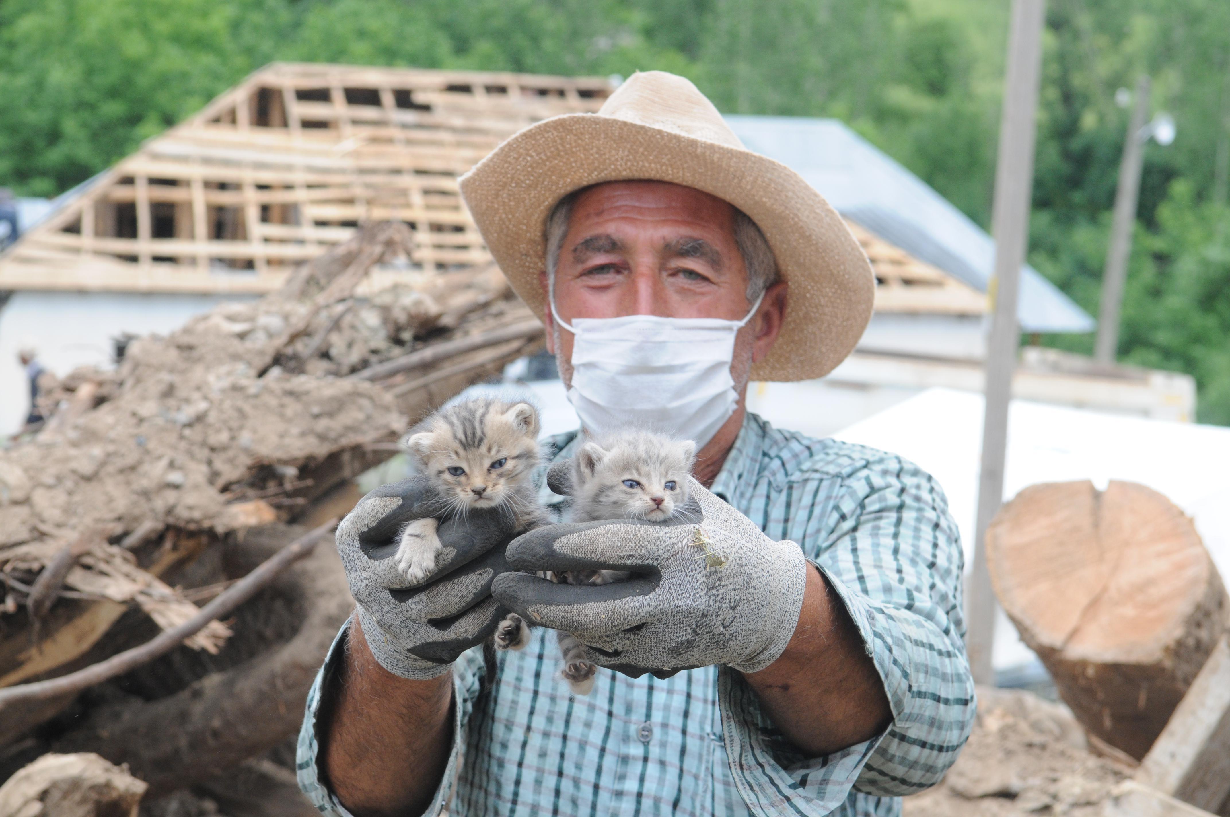 Bingöldeki depremden günler sonra 2 kedi yavrusu enkazdan sağ kurtarıldı