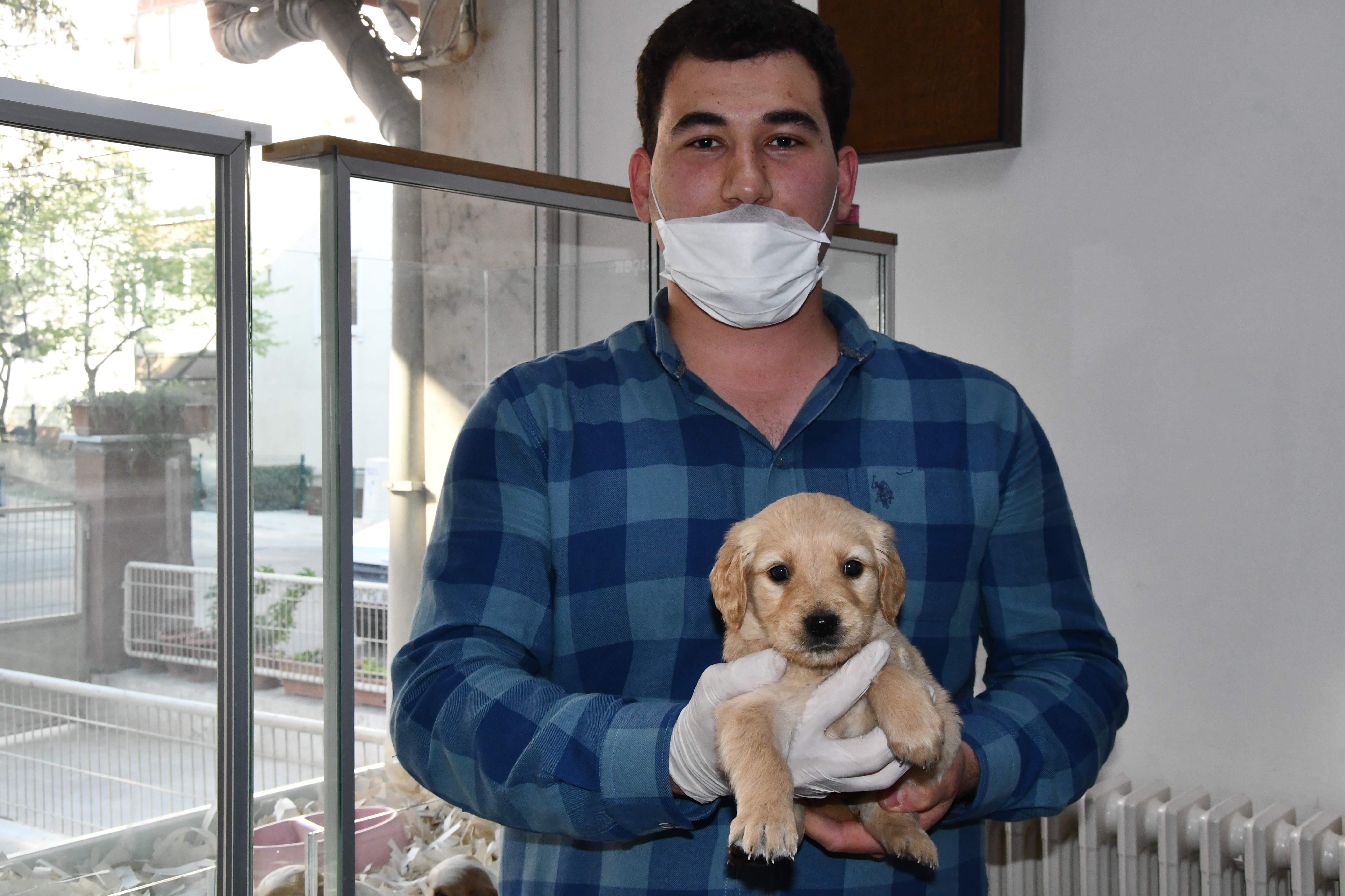 Kentte, sokağa çıkabilmek için akılalmaz yöntem: Köpek satın alıyorlar