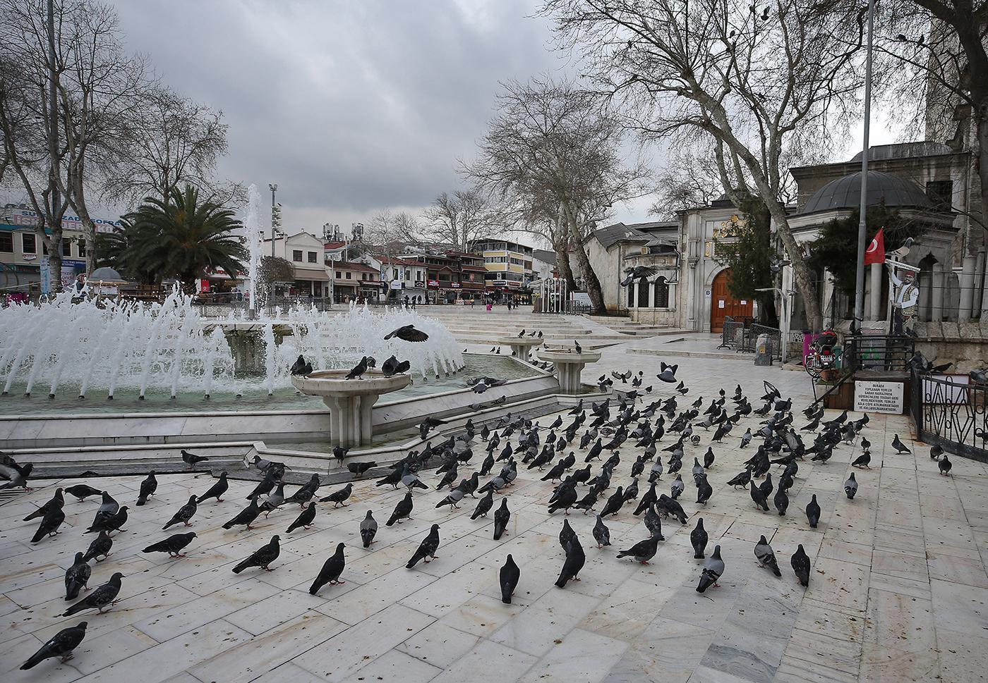 İstanbulun simge meydanlarının tek sakini güvercinler
