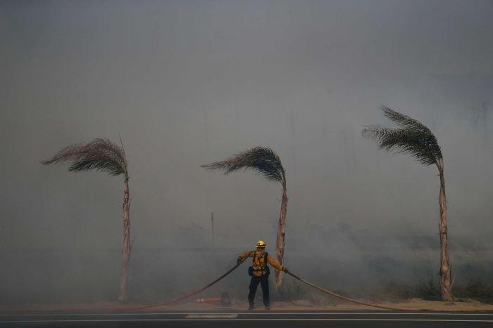 Californiada orman yangınları sonucu 110 bin kişi evlerini terk etti