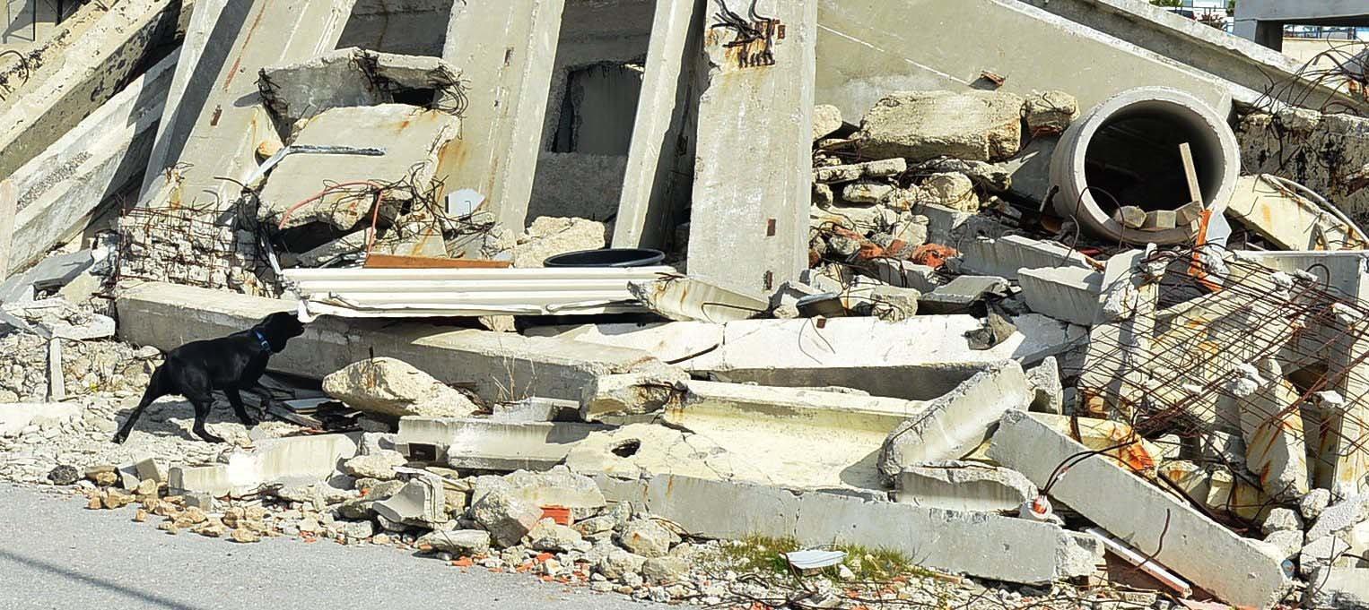 Deprem ve afette görev yapan Şans hayatını kaybetti