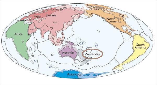 Dünyanın sekizinci kıtası Zelandiya sular altında bulundu