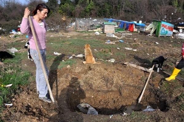 Açlık grevindeki hayvanseverler, kendi mezarını kazdı
