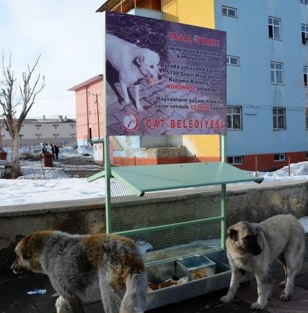 Sokak hayvanları için mama istasyonu kuruldu