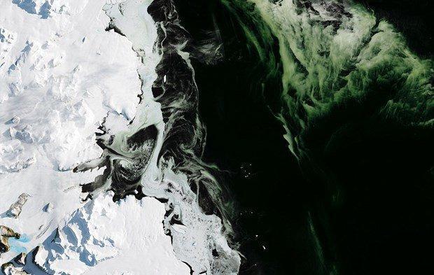 Antarktikadaki yeşil buzulun sırrı çözüldü