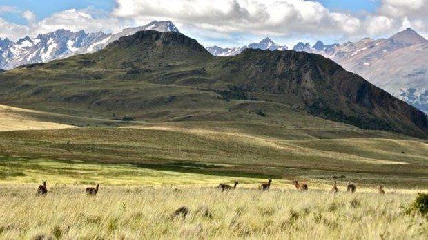 Şiliye 1 milyon dönüm arazi bağışladı