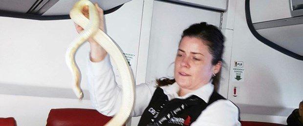 Sayın yolcular, uçakta kayıp yılan var