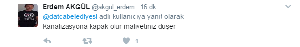 Datça Belediyesi Twitter hesabından yayınladı, yapılan yorumlar güldürdü