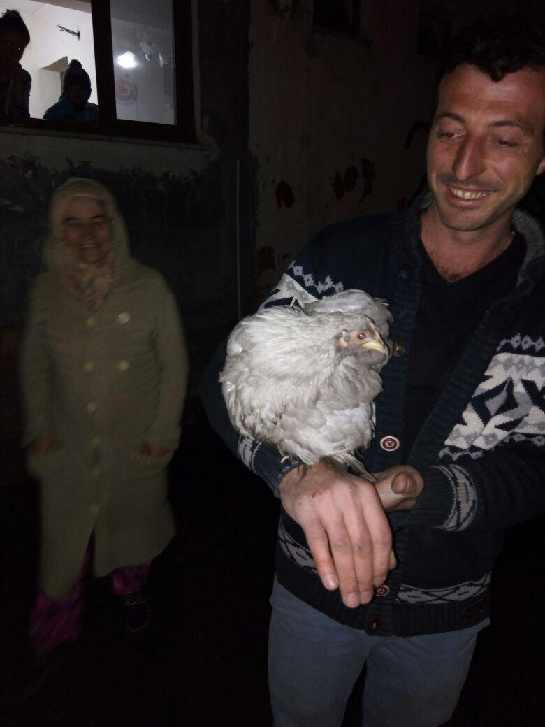 Zonguldakta tavuk kurtarma operasyonu