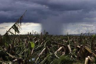 Filipinler için Bopha tayfunu kabusu bitmedi
