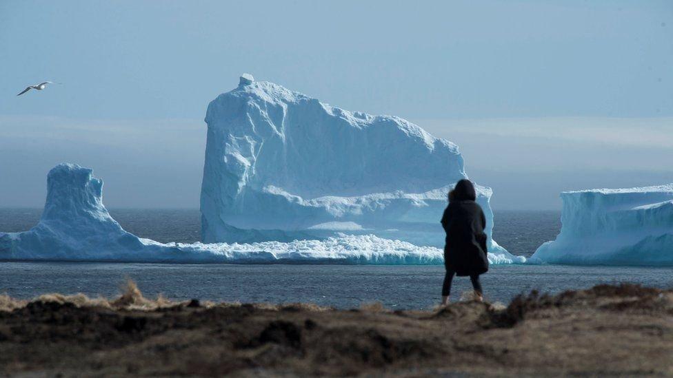 Kanadada dev buzdağı turistlerin ilgi odağı oldu
