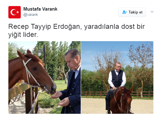 Cumhurbaşkanı Erdoğan ata bindi