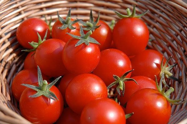 Uzmanlar açıkladı: Mide kanserine karşı domates yiyin