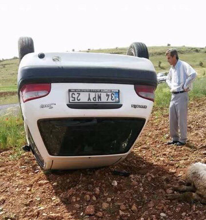 Otomobilde huysuzlanan koyun kaza yaptırdı