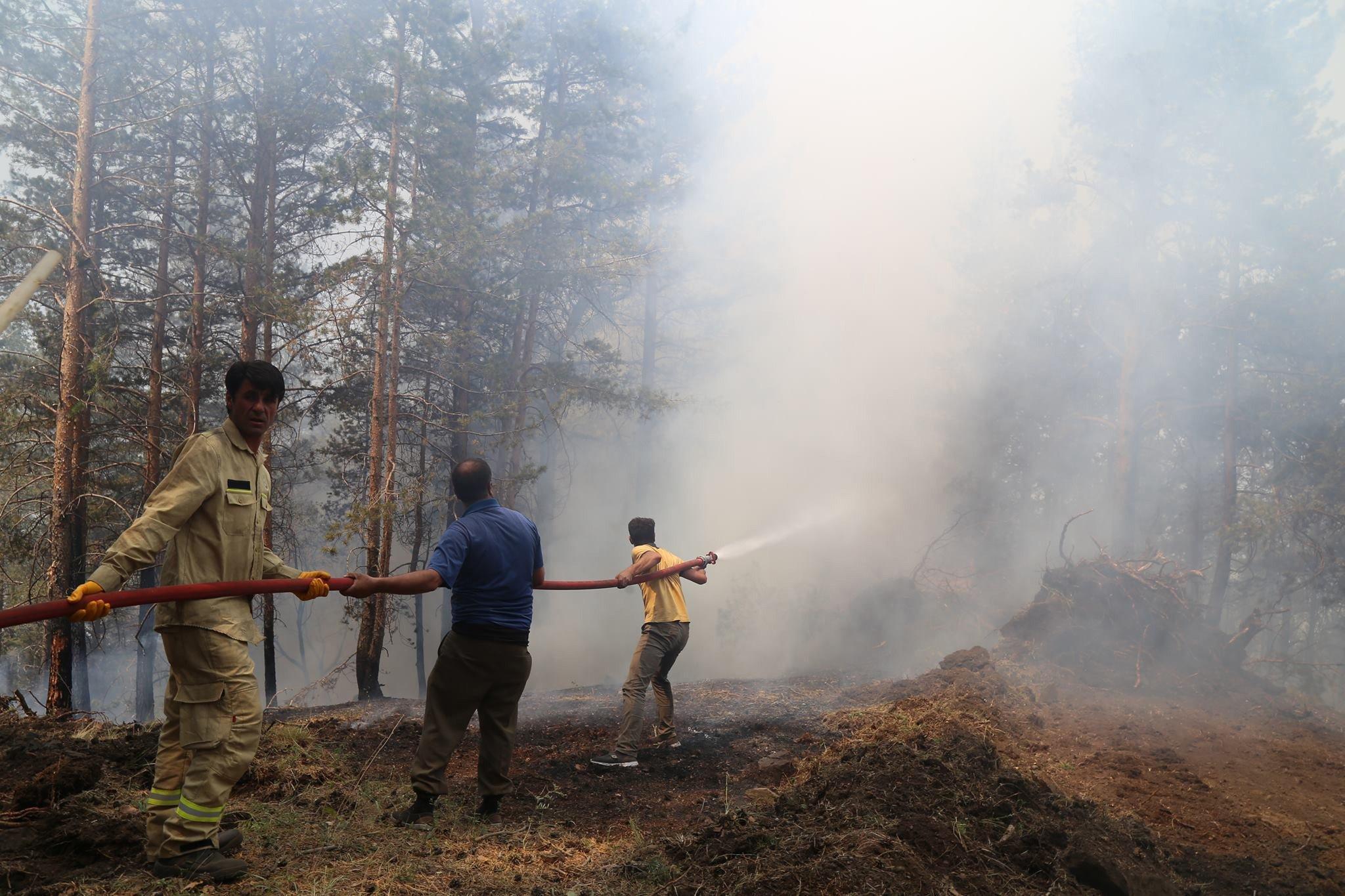 Erzurumda orman yangını 4 gündür sürüyor
