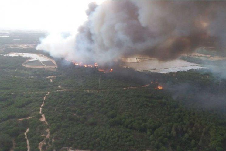 İspanyada büyük orman yangını: Tatil merkezleri boşaltıldı
