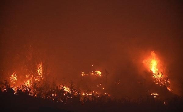 Muğlada yangın: Ormanlık alana sıçramaması için çalışılıyor