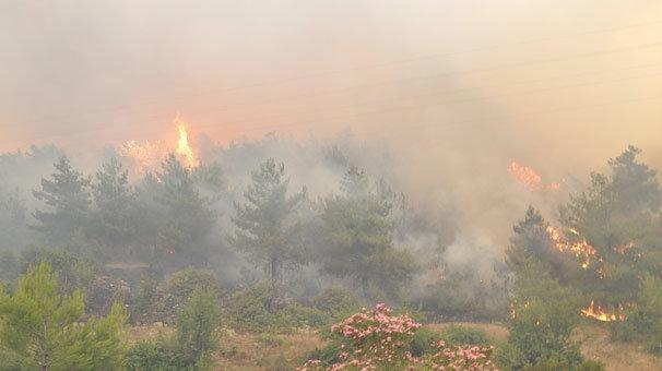 İzmirde orman yangını Su kesildi, elektrik verilemiyor...