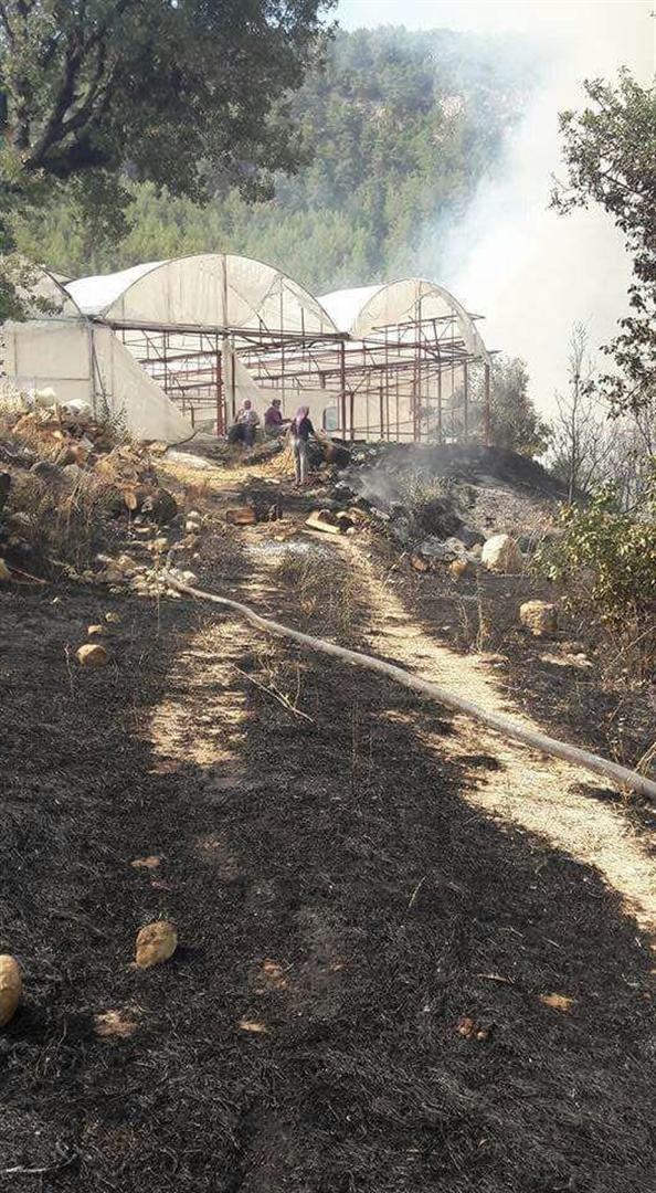 Antalya ve Çanakkalede orman yangını