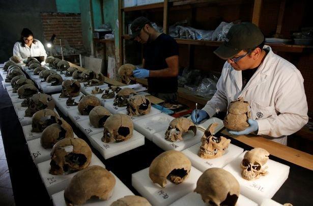 Meksikada ürküten keşif: 650den fazla kafatası üst üste