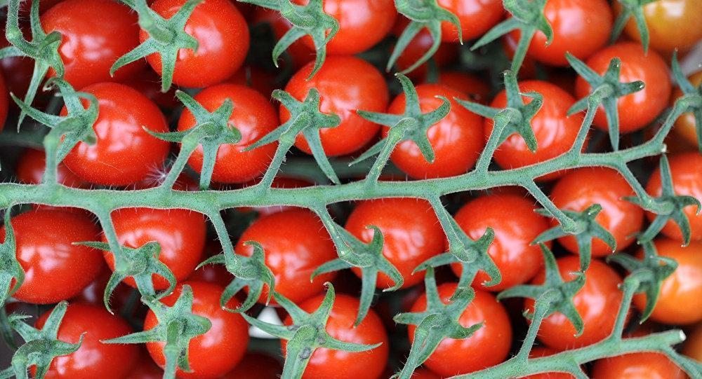 Canan Karataydan domates uyarısı