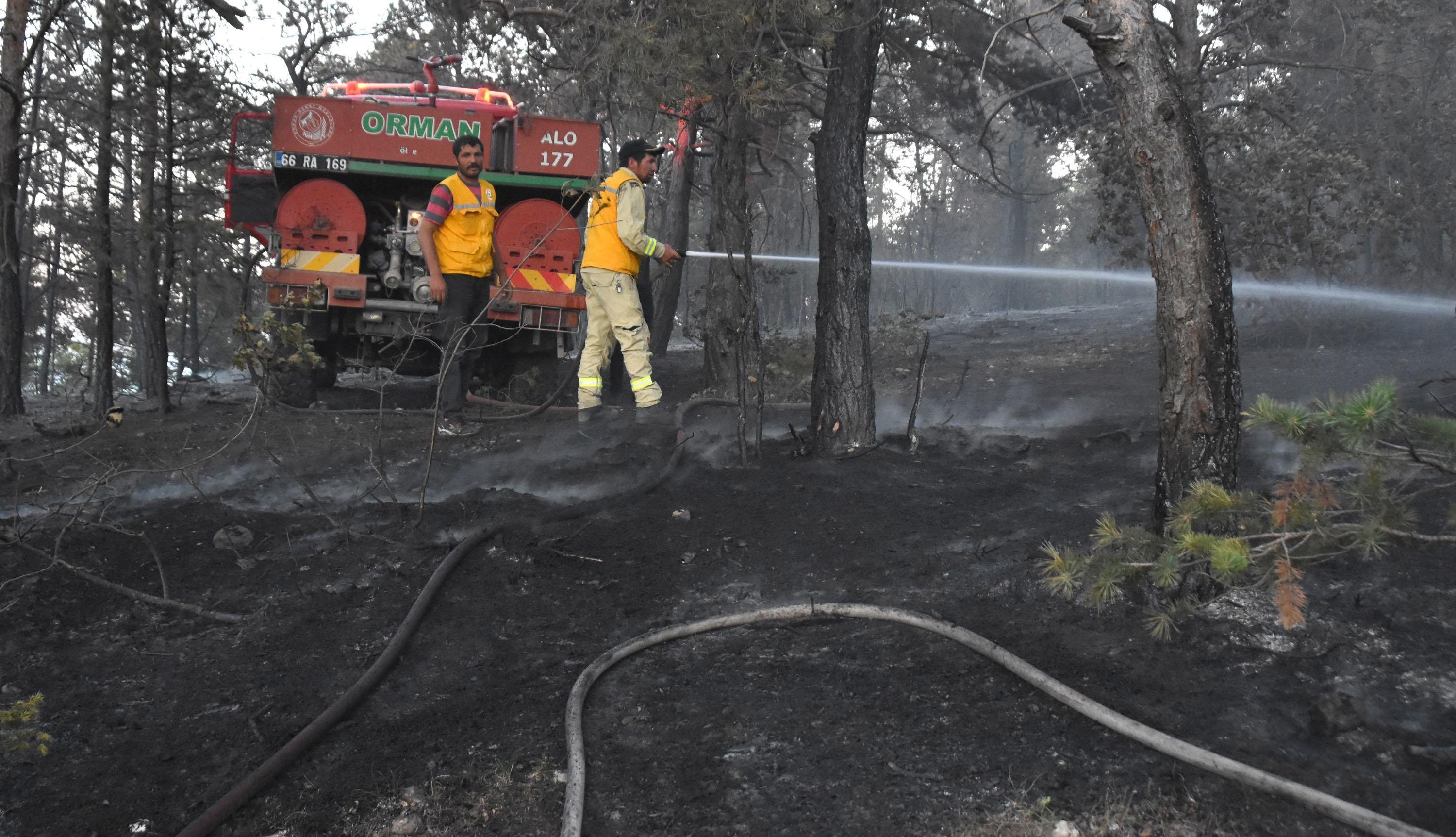 Sivas’ta 3 hektar ormanlık alan yandı