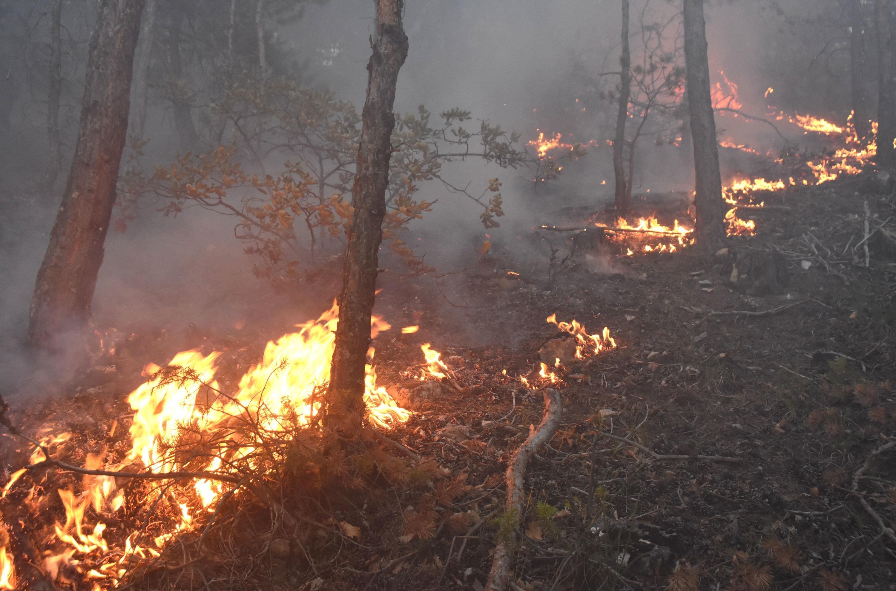 Sivas’ta 3 hektar ormanlık alan yandı
