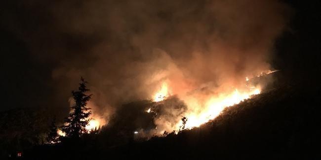 İzmir Karşıyakada orman yangını