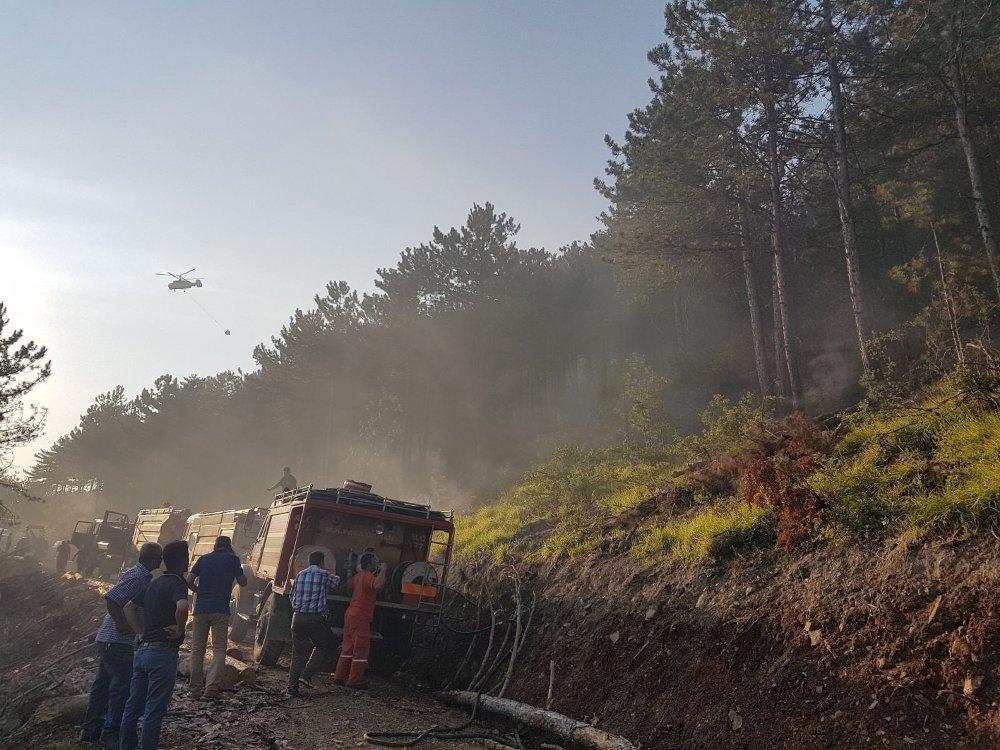 Bursa’da orman yangını: 5 hektar kül oldu