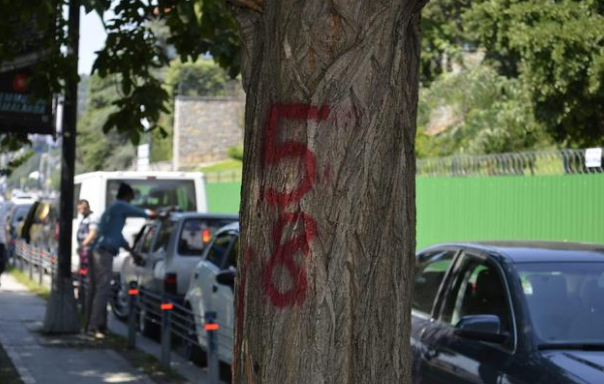 Bebek Aşiyan Parkı kapatıldı, ağaçlar işaretlendi