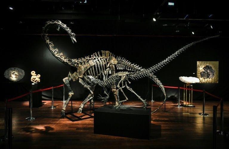 İki dinozor iskeleti Paristeki açık artırmada satıldı