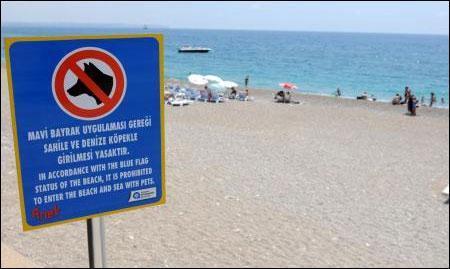 Konyaaltı Plajında dondan sonra köpek de yasak