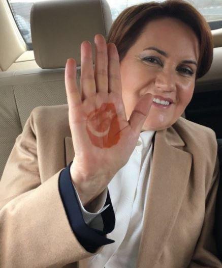 Meral Akşener’in kınalı eli partinin logosu oluyor