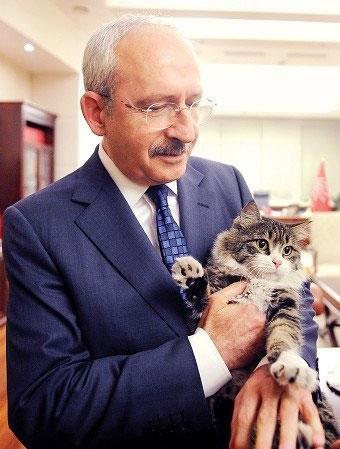 CHP, kedisi Şeroyu seçim görevlisi yaptı