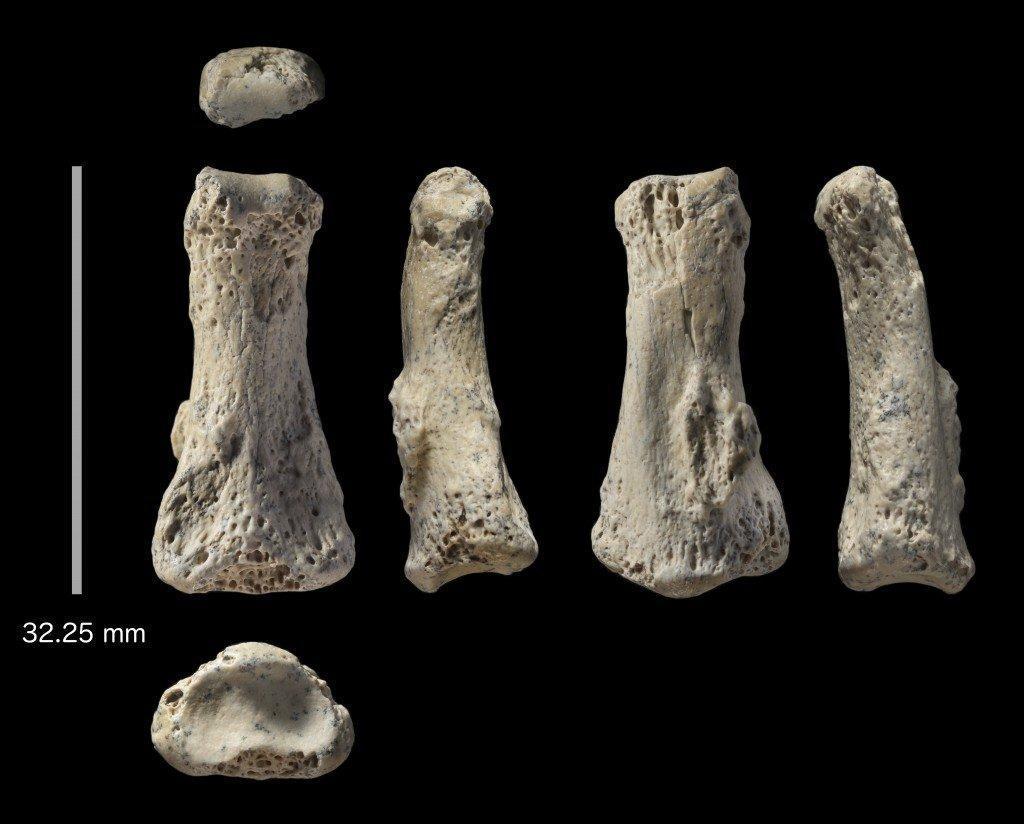 İlk insanın parmak fosili bulundu