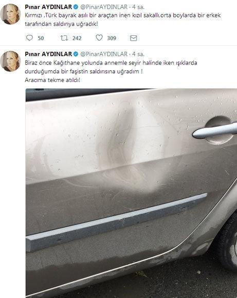Sanatçı Pınar Aydınlar saldırıya uğradı