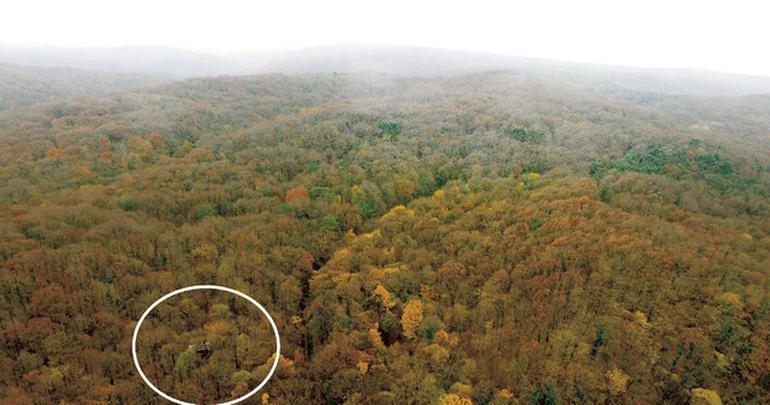 Belgrad Ormanında kumar çadırı basıldı