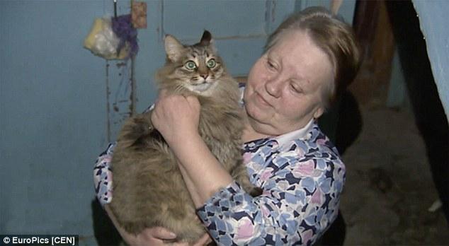 Sokak kedisi terk edilmiş bebeği donarak ölmekten kurtardı