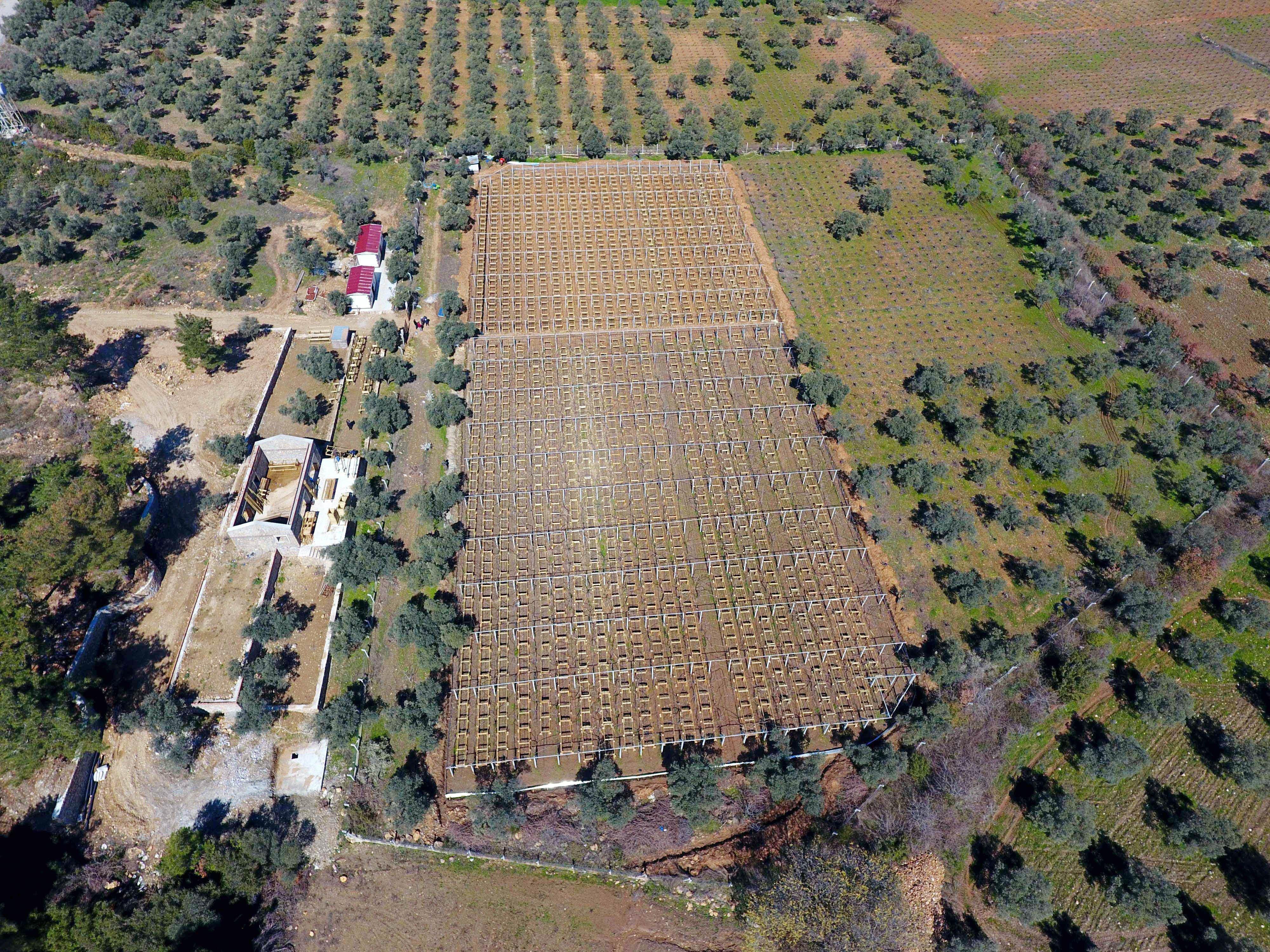 Türkiye’nin ilk salyangoz üretim çiftliği Kuşadası’nda kuruldu
